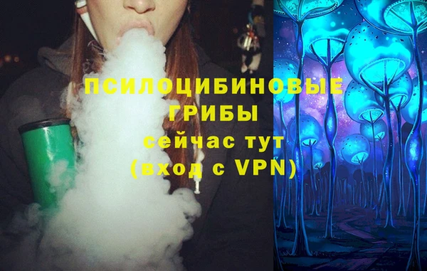 PSILOCYBIN Белоозёрский